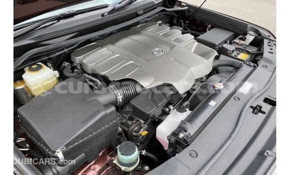 Buy Import Toyota Land Cruiser Red Car in Import - Dubai in Curacao Buy Import Toyota Land Cruiser Red Car in Import - Dubai in Curacao