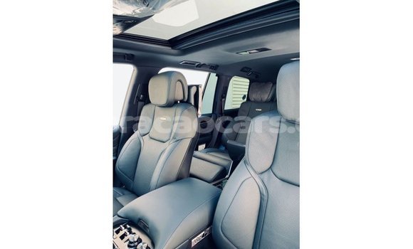 Buy Import Lexus LX Black Car in Import - Dubai in Curacao Buy Import Lexus LX Black Car in Import - Dubai in Curacao