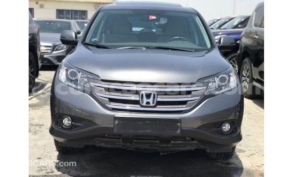 Buy Import Honda C Other Bike in Import - Dubai in Curacao Buy Import Honda C Other Bike in Import - Dubai in Curacao