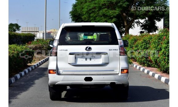 Buy Import Lexus GX White Car in Import - Dubai in Curacao Buy Import Lexus GX White Car in Import - Dubai in Curacao