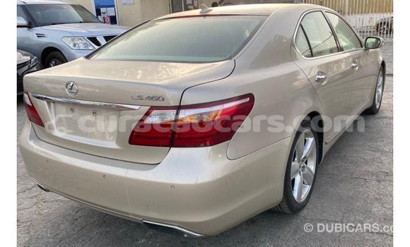 Buy Import Lexus LS Other Car in Import - Dubai in Curacao Buy Import Lexus LS Other Car in Import - Dubai in Curacao