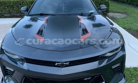 Buy Used Chevrolet Camaro Other Car in Barber in Curacao Buy Used Chevrolet Camaro Other Car in Barber in Curacao