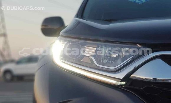 Buy Import Honda C Other Bike in Import - Dubai in Curacao Buy Import Honda C Other Bike in Import - Dubai in Curacao