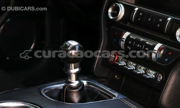 Buy Import Ford Mustang Green Car in Import - Dubai in Curacao Buy Import Ford Mustang Green Car in Import - Dubai in Curacao