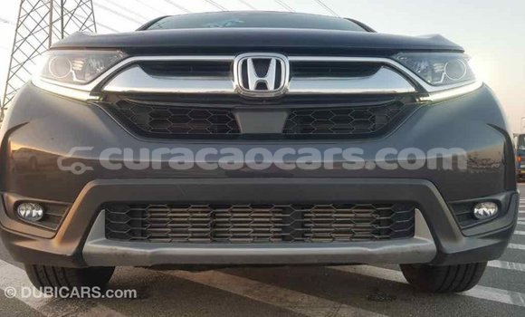 Buy Import Honda C Other Bike in Import - Dubai in Curacao Buy Import Honda C Other Bike in Import - Dubai in Curacao