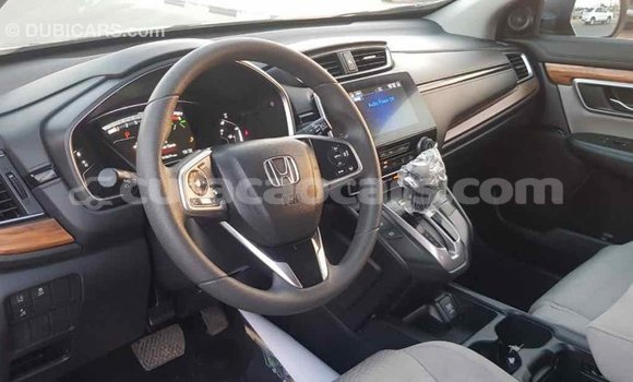 Buy Import Honda C Other Bike in Import - Dubai in Curacao Buy Import Honda C Other Bike in Import - Dubai in Curacao