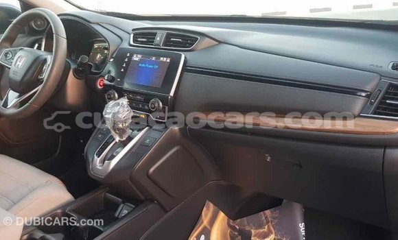 Buy Import Honda C Other Bike in Import - Dubai in Curacao Buy Import Honda C Other Bike in Import - Dubai in Curacao