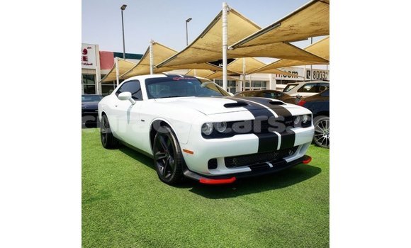 Buy Import Dodge Challenger White Car in Import - Dubai in Curacao