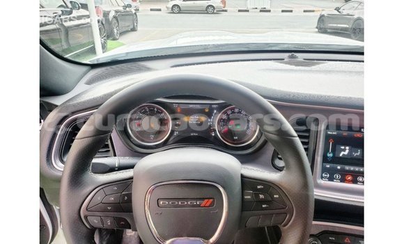Buy Import Dodge Challenger White Car in Import - Dubai in Curacao Buy Import Dodge Challenger White Car in Import - Dubai in Curacao