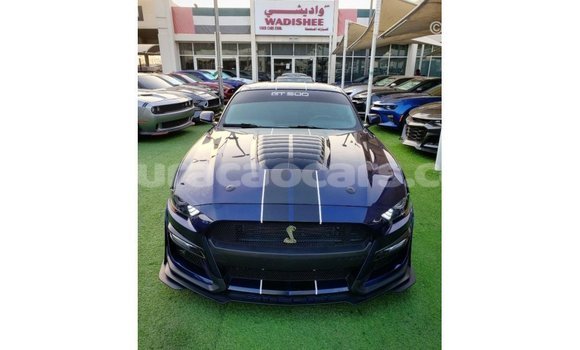Buy Import Ford Mustang Blue Car in Import - Dubai in Curacao Buy Import Ford Mustang Blue Car in Import - Dubai in Curacao