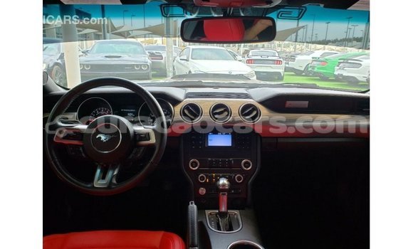 Buy Import Ford Mustang Blue Car in Import - Dubai in Curacao Buy Import Ford Mustang Blue Car in Import - Dubai in Curacao