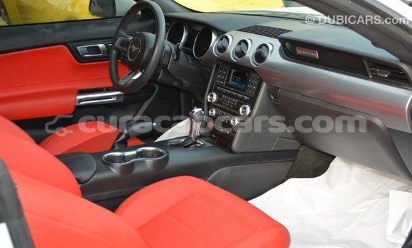 Buy Import Ford Mustang White Car in Import - Dubai in Curacao Buy Import Ford Mustang White Car in Import - Dubai in Curacao