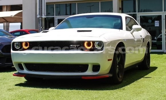 Buy Import Dodge Challenger White Car in Import - Dubai in Curacao