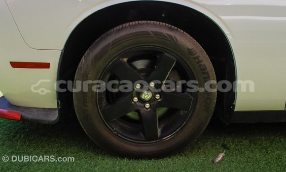 Buy Import Dodge Challenger White Car in Import - Dubai in Curacao Buy Import Dodge Challenger White Car in Import - Dubai in Curacao