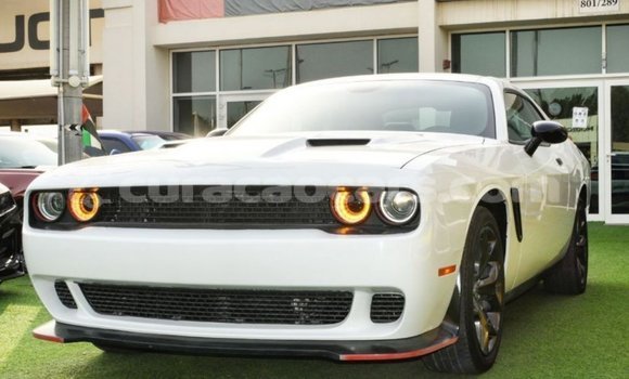 Buy Import Dodge Challenger White Car in Import - Dubai in Curacao