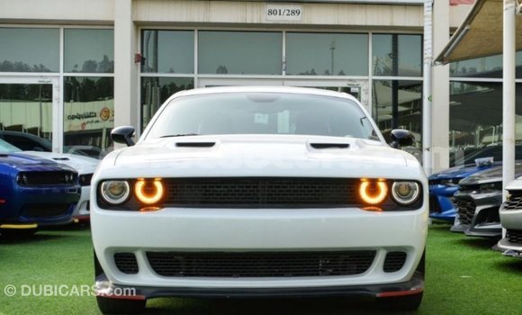 Buy Import Dodge Challenger White Car in Import - Dubai in Curacao Buy Import Dodge Challenger White Car in Import - Dubai in Curacao