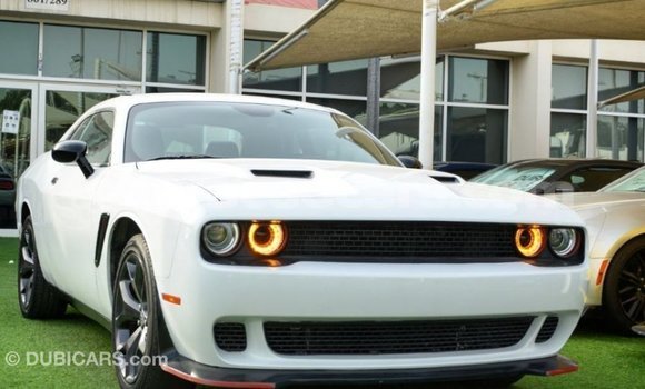 Buy Import Dodge Challenger White Car in Import - Dubai in Curacao Buy Import Dodge Challenger White Car in Import - Dubai in Curacao