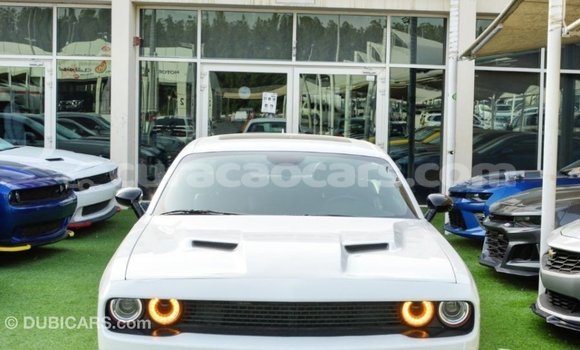 Buy Import Dodge Challenger White Car in Import - Dubai in Curacao Buy Import Dodge Challenger White Car in Import - Dubai in Curacao