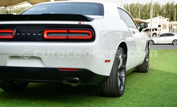 Buy Import Dodge Challenger White Car in Import - Dubai in Curacao Buy Import Dodge Challenger White Car in Import - Dubai in Curacao