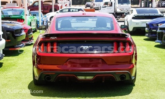 Buy Import Ford Mustang Red Car in Import - Dubai in Curacao Buy Import Ford Mustang Red Car in Import - Dubai in Curacao
