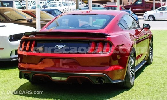 Buy Import Ford Mustang Red Car in Import - Dubai in Curacao Buy Import Ford Mustang Red Car in Import - Dubai in Curacao