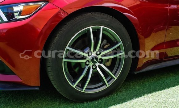 Buy Import Ford Mustang Red Car in Import - Dubai in Curacao Buy Import Ford Mustang Red Car in Import - Dubai in Curacao