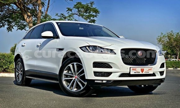 Buy Import Jaguar F-Pace White Car in Import - Dubai in Curacao