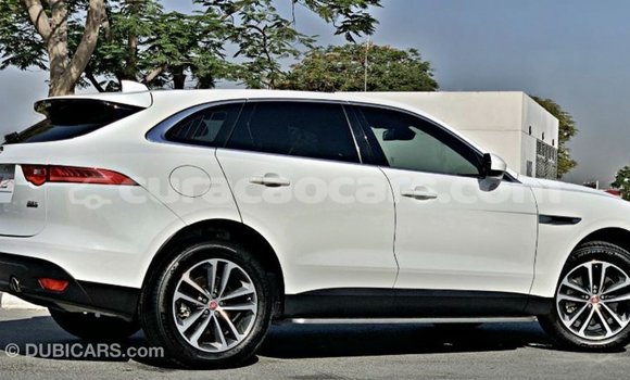 Buy Import Jaguar F-Pace White Car in Import - Dubai in Curacao Buy Import Jaguar F-Pace White Car in Import - Dubai in Curacao