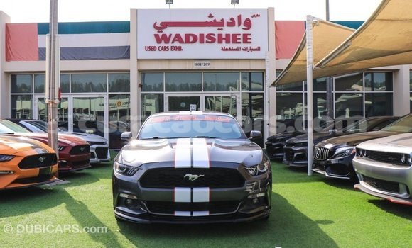 Buy Import Ford Mustang Other Car in Import - Dubai in Curacao Buy Import Ford Mustang Other Car in Import - Dubai in Curacao