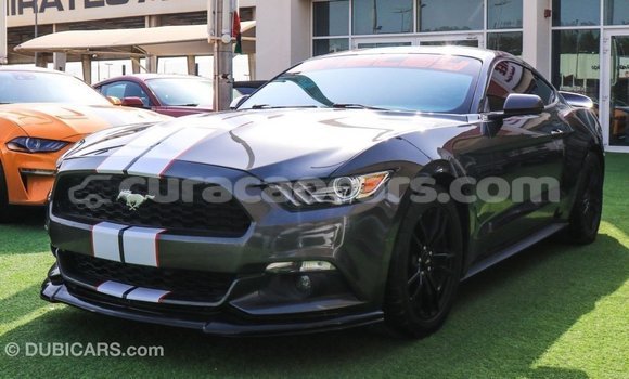 Buy Import Ford Mustang Other Car in Import - Dubai in Curacao Buy Import Ford Mustang Other Car in Import - Dubai in Curacao