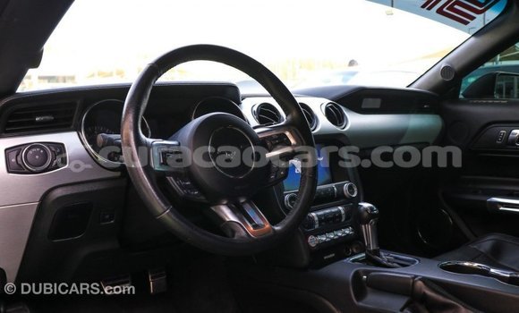 Buy Import Ford Mustang Other Car in Import - Dubai in Curacao Buy Import Ford Mustang Other Car in Import - Dubai in Curacao