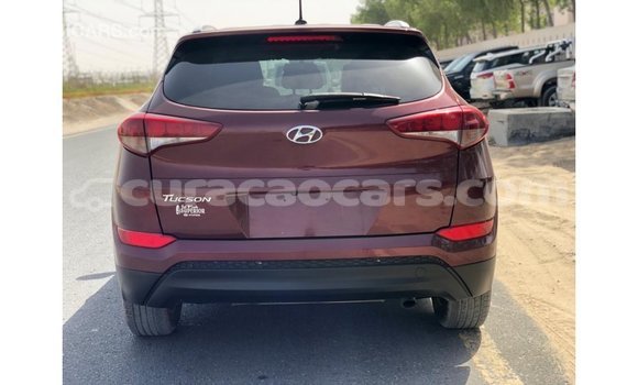 Buy Import Hyundai Tucson Red Car in Import - Dubai in Curacao Buy Import Hyundai Tucson Red Car in Import - Dubai in Curacao