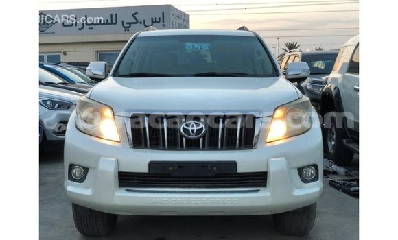 Buy Import Toyota Prado White Car in Import - Dubai in Curacao Buy Import Toyota Prado White Car in Import - Dubai in Curacao