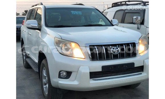 Buy Import Toyota Prado White Car in Import - Dubai in Curacao Buy Import Toyota Prado White Car in Import - Dubai in Curacao
