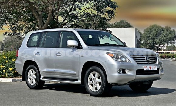 Buy Import Lexus LX Other Car in Import - Dubai in Curacao