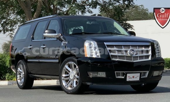 Buy Import Cadillac Escalade Black Car in Import - Dubai in Curacao