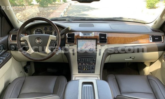Buy Import Cadillac Escalade Black Car in Import - Dubai in Curacao Buy Import Cadillac Escalade Black Car in Import - Dubai in Curacao