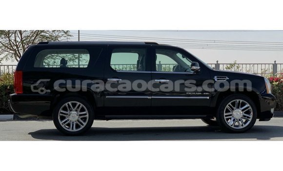 Buy Import Cadillac Escalade Black Car in Import - Dubai in Curacao Buy Import Cadillac Escalade Black Car in Import - Dubai in Curacao