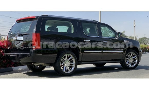 Buy Import Cadillac Escalade Black Car in Import - Dubai in Curacao Buy Import Cadillac Escalade Black Car in Import - Dubai in Curacao