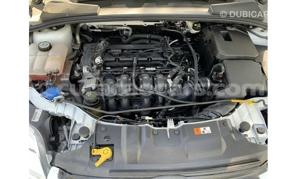 Buy Import Ford Focus White Car in Import - Dubai in Curacao Buy Import Ford Focus White Car in Import - Dubai in Curacao