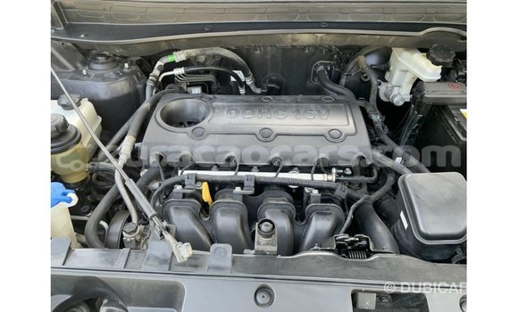 Buy Import Kia Sportage Black Car in Import - Dubai in Curacao Buy Import Kia Sportage Black Car in Import - Dubai in Curacao