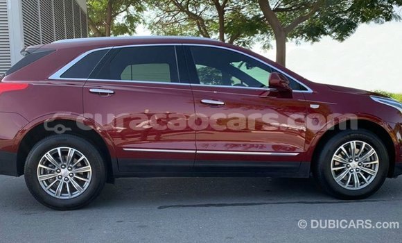 Buy Import Cadillac XT5 Red Car in Import - Dubai in Curacao Buy Import Cadillac XT5 Red Car in Import - Dubai in Curacao