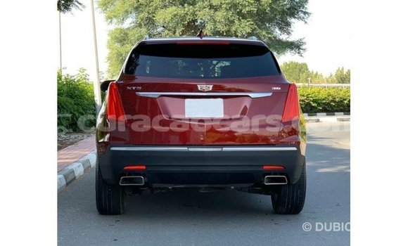 Buy Import Cadillac XT5 Red Car in Import - Dubai in Curacao Buy Import Cadillac XT5 Red Car in Import - Dubai in Curacao