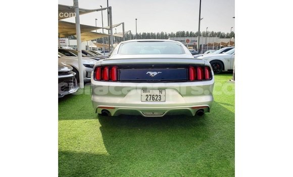 Buy Import Ford Mustang Other Car in Import - Dubai in Curacao Buy Import Ford Mustang Other Car in Import - Dubai in Curacao
