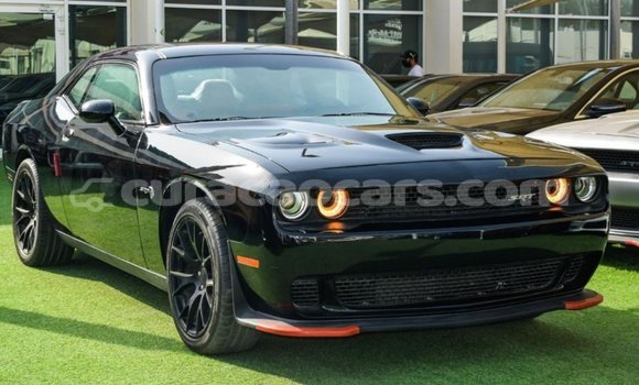 Buy Import Dodge Challenger Black Car in Import - Dubai in Curacao