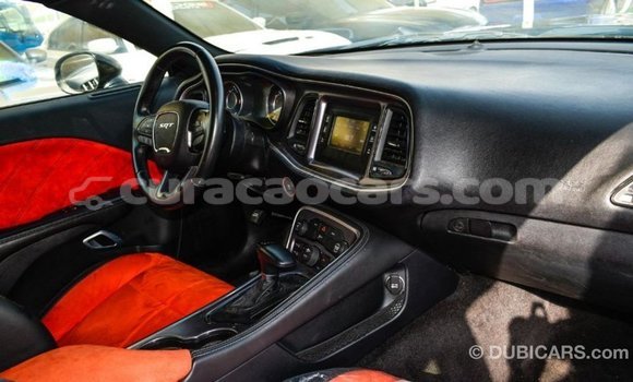 Buy Import Dodge Challenger Black Car in Import - Dubai in Curacao Buy Import Dodge Challenger Black Car in Import - Dubai in Curacao