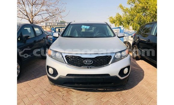 Buy Import Kia Sorento Other Car in Import - Dubai in Curacao Buy Import Kia Sorento Other Car in Import - Dubai in Curacao