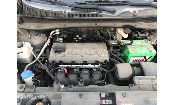 Buy Import Kia Sportage Other Car in Import - Dubai in Curacao Buy Import Kia Sportage Other Car in Import - Dubai in Curacao