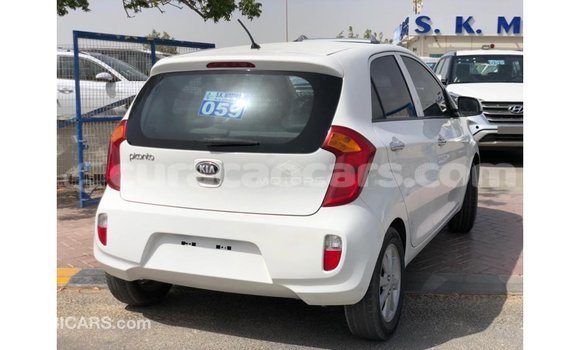 Buy Import Kia Picanto White Car in Import - Dubai in Curacao Buy Import Kia Picanto White Car in Import - Dubai in Curacao