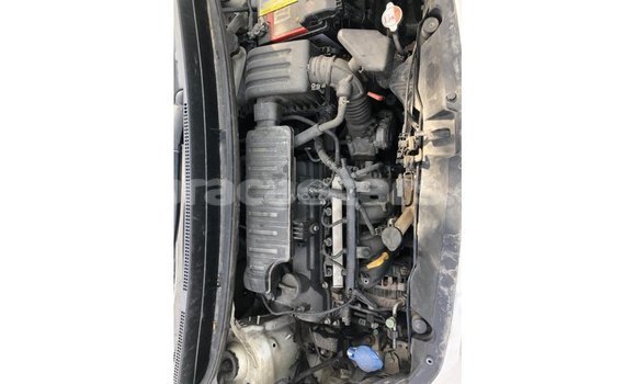 Buy Import Kia Picanto White Car in Import - Dubai in Curacao Buy Import Kia Picanto White Car in Import - Dubai in Curacao